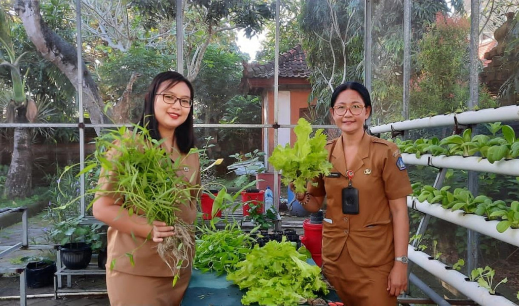Inovasi Sekolah Sayur Kecamatan Kuta Selatan dan  TP PKK Kecamatan melaksanakan Panen sayuran yang ditanam di Green House Kantor Camat dengan menggunakan metode hidroponik dan tabulapot